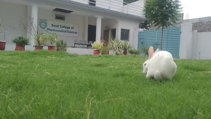 Swat College of Pharmaceutical sciences Picture 3