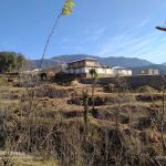 Govt High School for Boys Dilbori