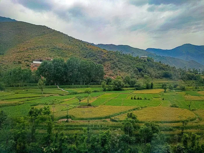 Swat Medical College Picture 9