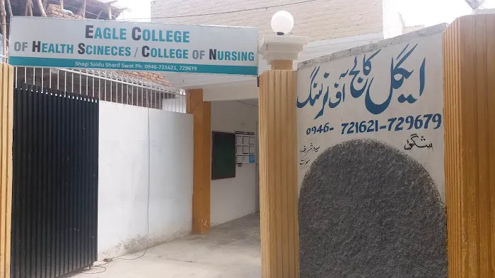 Eagle College of Nursing Picture 1