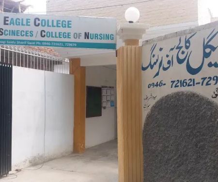 Eagle College of Nursing