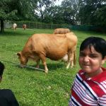 Government Primary School (Boys)