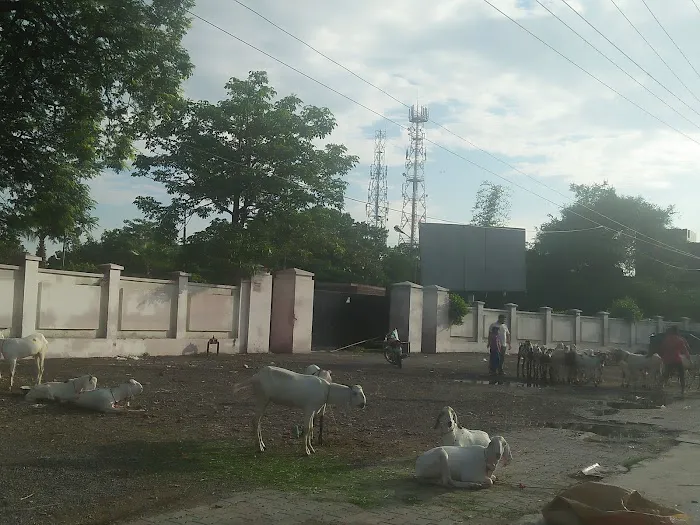 Mian Rehmat Ali Home Economics College For Girls Picture 4