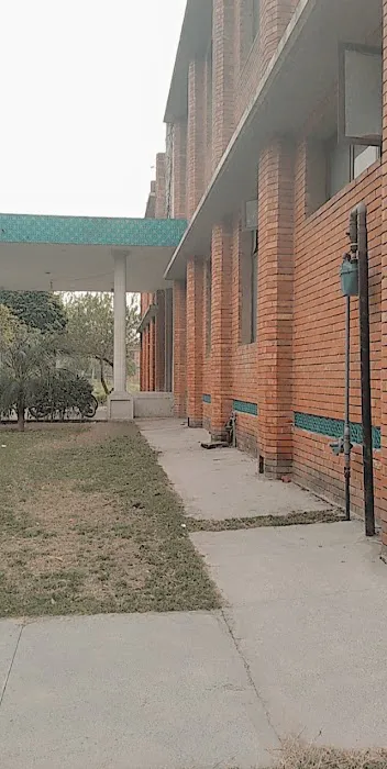 Govt. Mian Rehmat Ali Graduate College of Home Economics for Women Gujranwala Picture 3