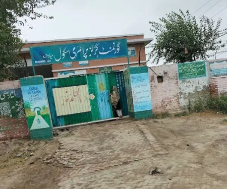 Govt Girls Primary School Miana Hazara