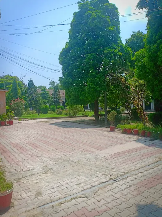 Quaid-e-Azam Block Zamindar College Picture 1