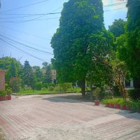 Quaid-e-Azam Block Zamindar College ico