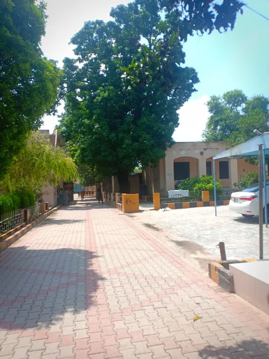 Quaid-e-Azam Block Zamindar College Picture 2