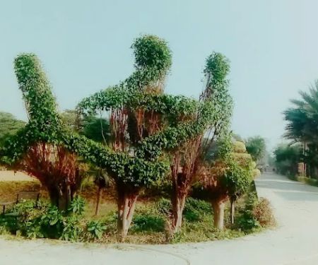 Marghzar College for Women
