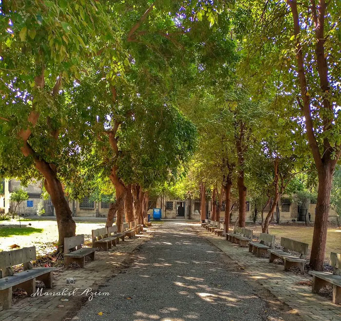 Marghzar College for Women Picture 6