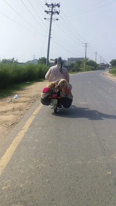 Main Link Road to University of Gujrat Picture 1