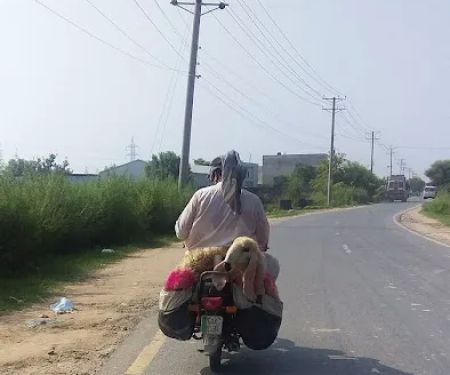 Main Link Road to University of Gujrat