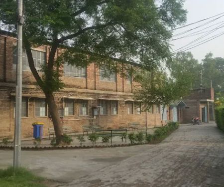 The Christian Higher Secondary School & College