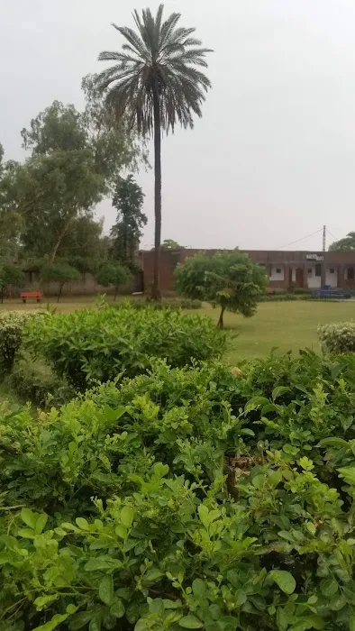 The Christian Higher Secondary School & College Picture 5