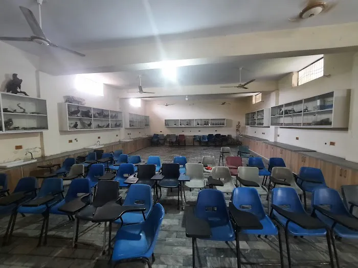 Stars College Picture 10