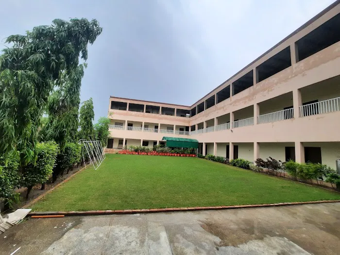 Stars College Picture 7