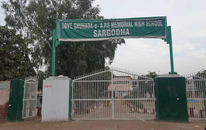 Govt. Shuhada E APS Memorial High School No. 2 Picture 1
