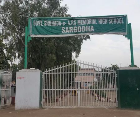 Govt. Shuhada E APS Memorial High School No. 2