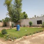 GPS Mandoori Patal Shah
