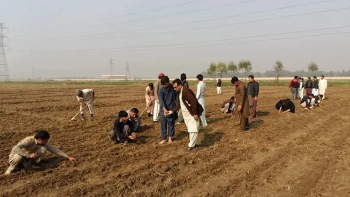 Agriculture University (Amir Muhammad Khan Campus) Picture 6