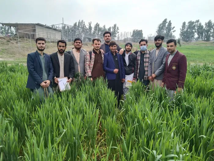 Agriculture University (Amir Muhammad Khan Campus) Picture 2