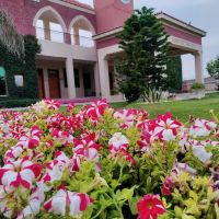 Cadet College Sargodha ico