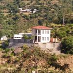 Govt. Primary School Jabba(Darra)