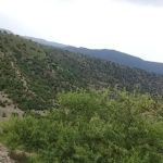 GPS Bakha Banda