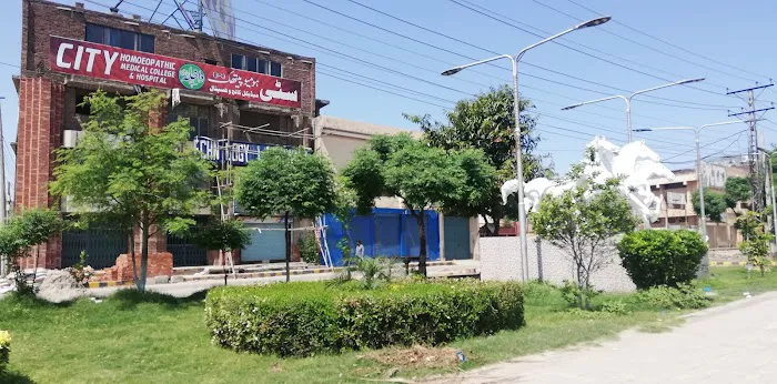 City Homeopathic Medical College Picture 3