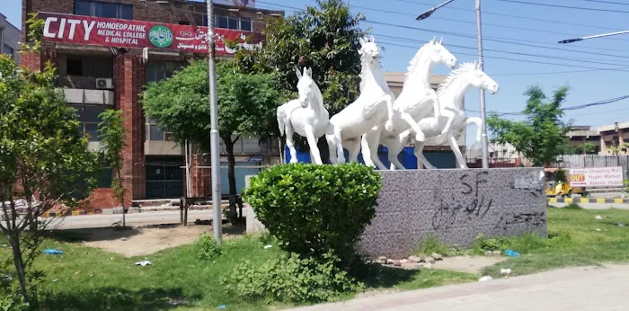 City Homeopathic Medical College Picture 2