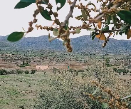 GPS Tangi Dak, Darish Khel
