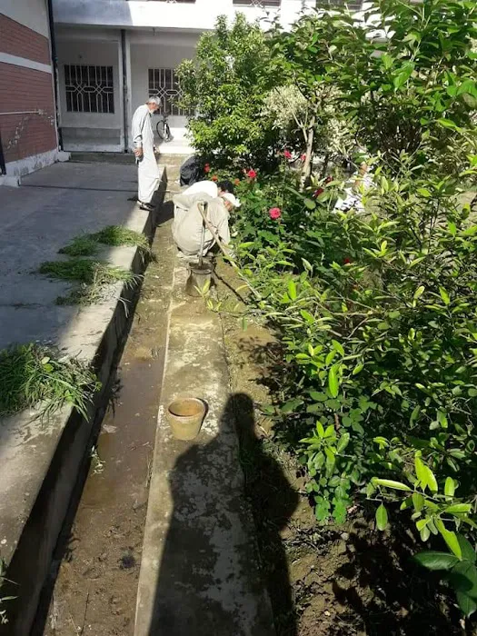 Govt College Of Commerce No 2 Bannu Picture 7