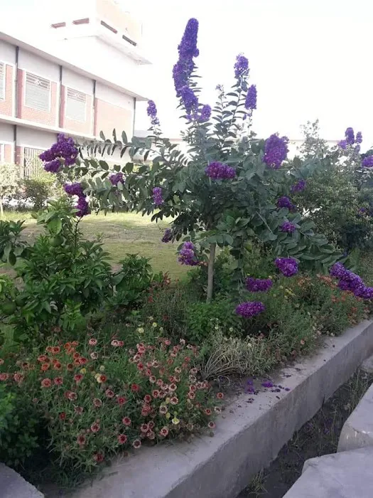 Govt College Of Commerce No 2 Bannu Picture 6