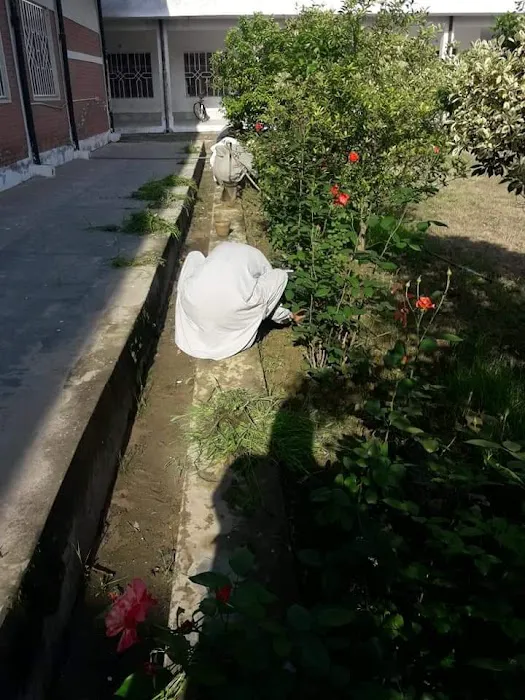 Govt College Of Commerce No 2 Bannu Picture 9