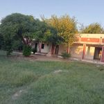 GGPS Kotka Dr Umar Shah Kam chashmi