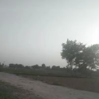 Shama Khel ico