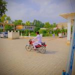 Government Degree College No 2 Mardan