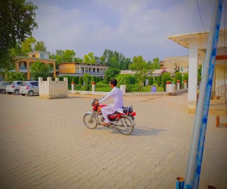 Government Degree College No 2 Mardan