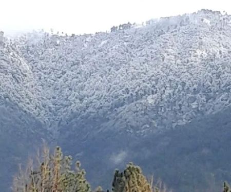 GGPS Jatheeian Tanoli (Kathai) Oghi Mansehra