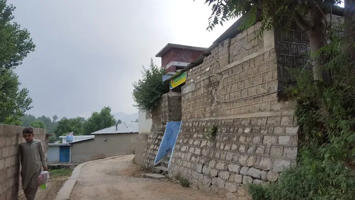 Government Boys Primary School Shadore Pain Picture 2