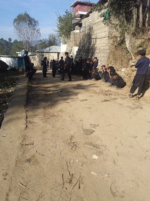 Government Boys Primary School Shadore Pain Picture 7