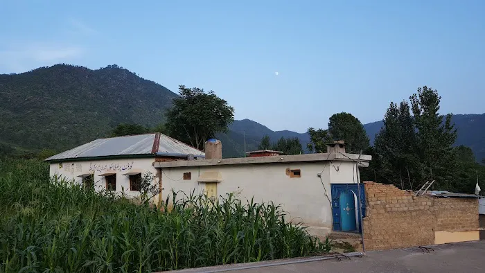 Government Boys Primary School Shadore Pain Picture 9