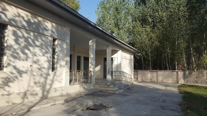 Govt Boys Primary School (Shadore Bala) Bawarkhan Picture 2