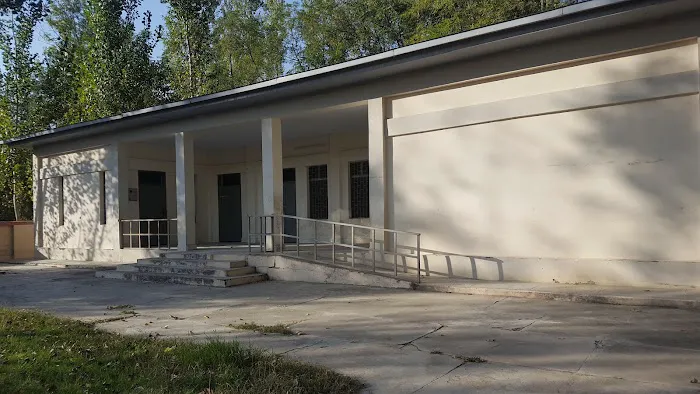 Govt Boys Primary School (Shadore Bala) Bawarkhan Picture 5