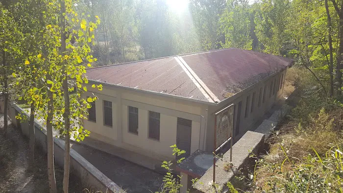 Govt Boys Primary School (Shadore Bala) Bawarkhan Picture 7