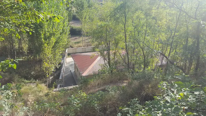 Govt Boys Primary School (Shadore Bala) Bawarkhan Picture 4