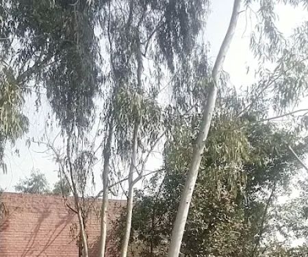 Govt Model Primary School Sahnay Wala