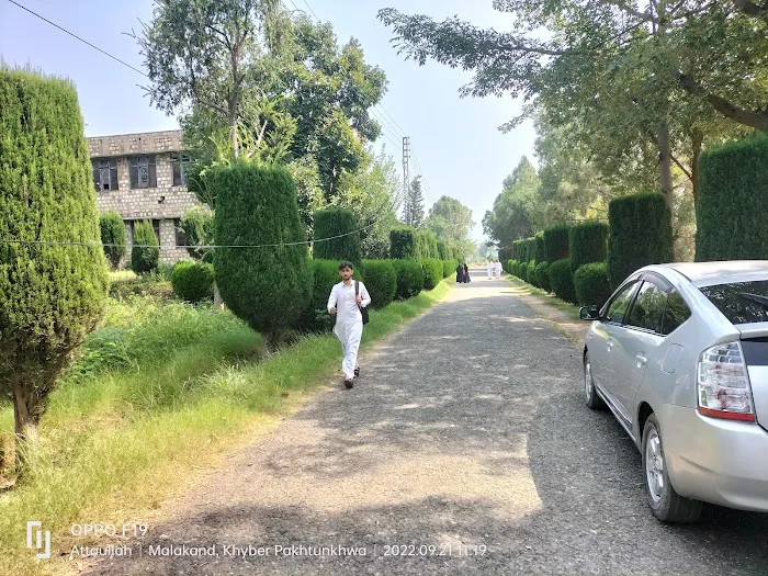 Government Post Graduate College Dargai, Malakand Picture 8