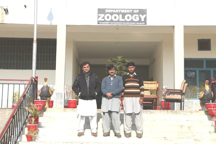 Department of zoology GPGC DARGAI Picture 1