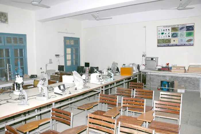 Department of zoology GPGC DARGAI Picture 8